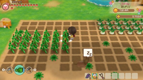 STORY OF SEASONS: Friends of Mineral Town - تصویر 4